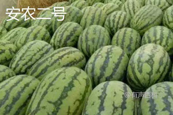 5月西瓜是反季节水果吗？并非完全反季节，存在早熟品种