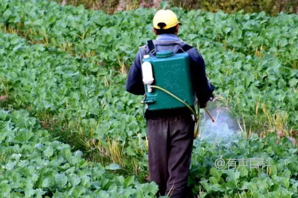 甲维盐对钻心虫的防治效果如何？