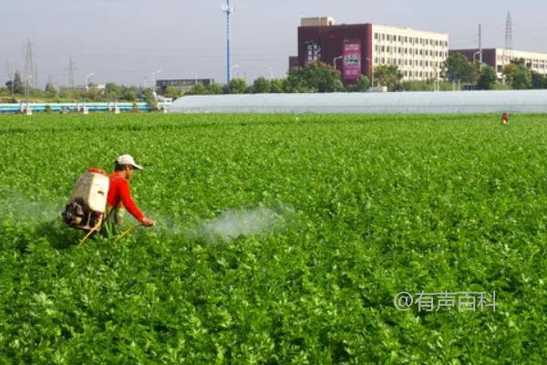 甲维盐对钻心虫的防治效果如何？