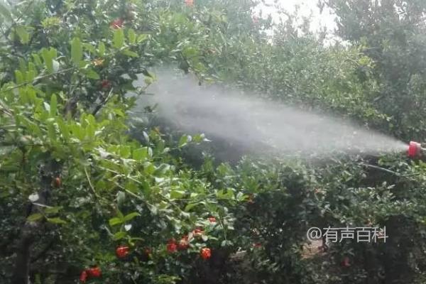 噻霉酮的混搭禁忌：避免与强酸强碱性农药混用