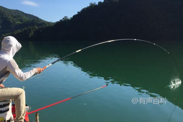 秋冬季节刮西南风是否适合垂钓？钓鱼效果如何？