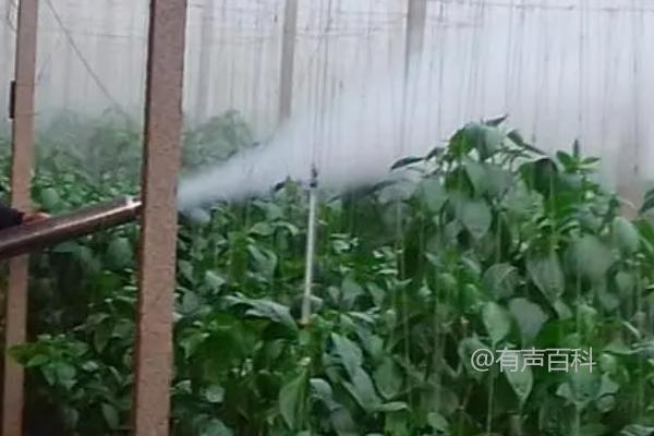 微量元素水溶肥的使用方法及与有机肥搭配使用的效果优化指南