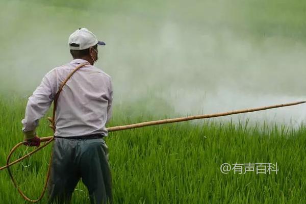 灭草松除草剂详细说明与正确使用方法