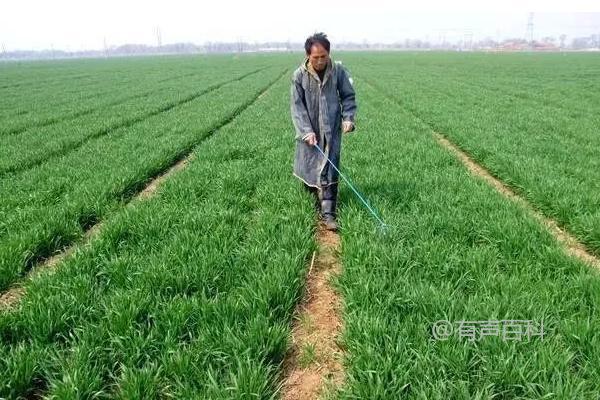 灭草松除草剂详细说明与正确使用方法