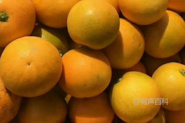 橙子采摘方法：距离果蒂2厘米处剪下果实