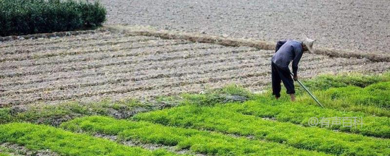 种植赚钱，根据气候条件选择项目