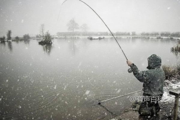 冬季钓鱼技巧，如何有效地找到鱼群