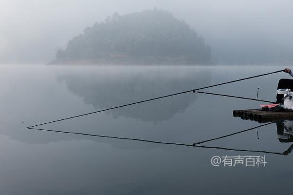 深秋钓鲤鱼的最佳水深是2-3米