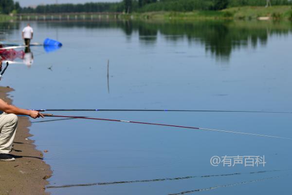 下雨前还是下雨后更适合钓鱼？降雨后外出垂钓效果更佳