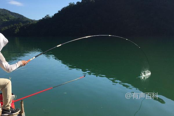 冬季钓鲶鱼的注意事项：气温、饵料和鱼钩的选择