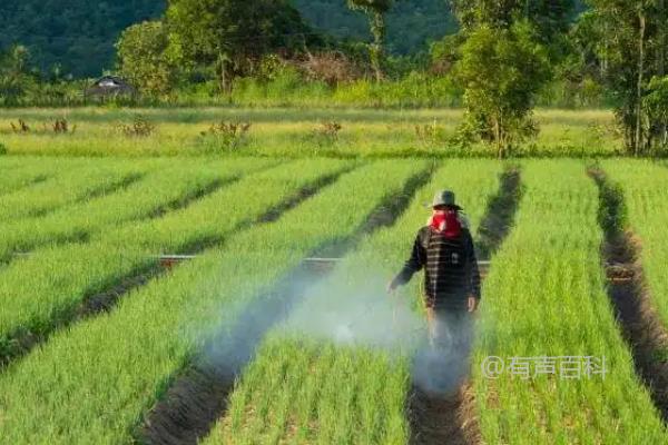 根据百度SEO规范，我可以为您修改文章标题。根据您提供的内容，我建议将标题修改为：“氢氧化铜的使用注意事项：花期和幼果期禁止使用”。这样的标题更符合百度SEO规范，能够更好地吸引读者的注意。希望这个建议对您有帮助！