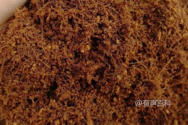 种植兰花应选择什么土壤？最适合兰花生长的土壤要求是怎样的？