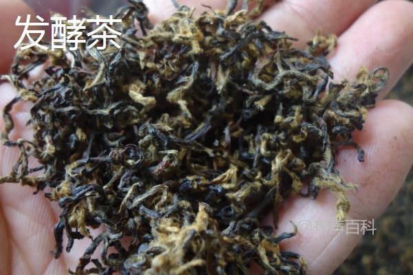 发酵茶和不发酵茶哪种更适合？