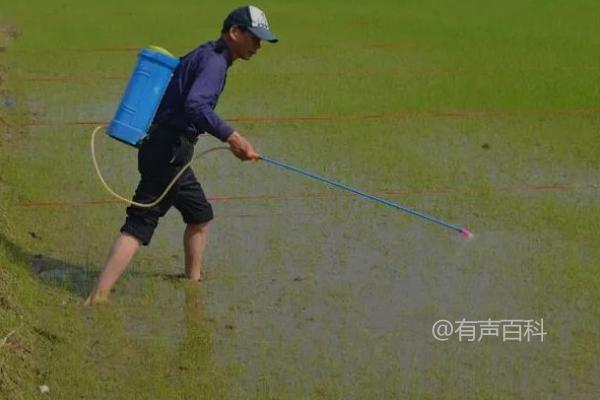 稻田除草剂的主要成分