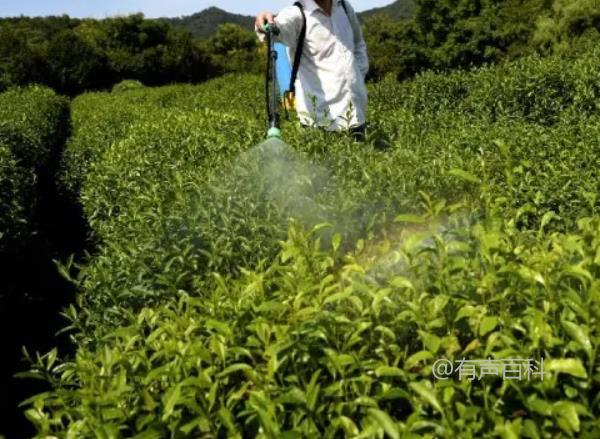 甲维盐唑虫酰胺的防治对象是什么？