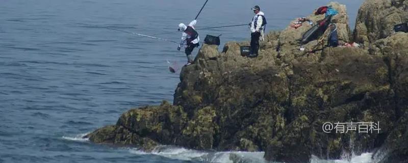 岸边海钓最佳时间，早晨和傍晚时分钓鱼更容易上钩