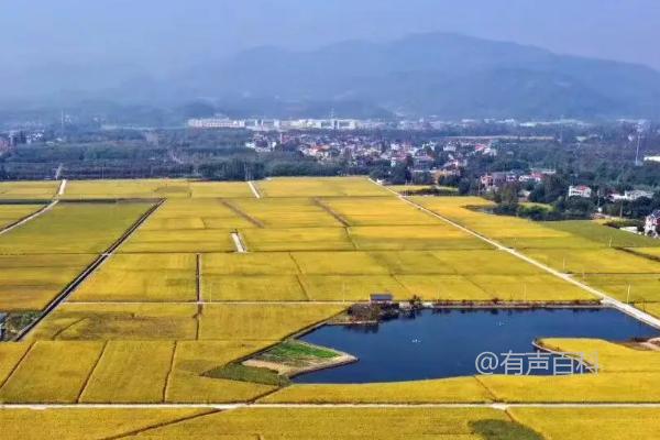 基本农田倒挂的含义是指在农业发展中，原本应该保护和优先利用的基本农田被过度开发和占用，而非基本农田却得到了更多的保护和利用。这种现象导致了农田资源的不合理利用和农业生产的不稳定性。基本农田是指具有重要农业生产功能、生态功能和农村社会功能的耕地，保护基本农田是维护农业可持续发展和粮食安全的重要举措。