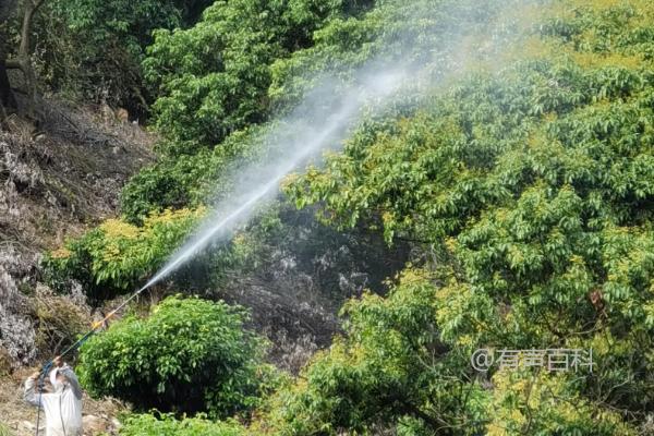 氢氧化铜的主要病害及其治疗方法