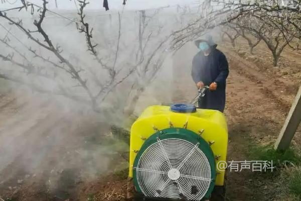 氢氧化铜的主要病害及其治疗方法