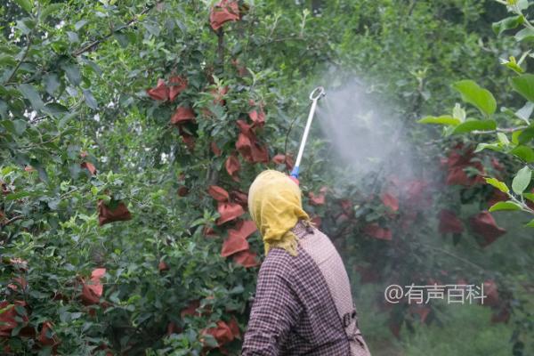 氢氧化铜的主要病害及其治疗方法