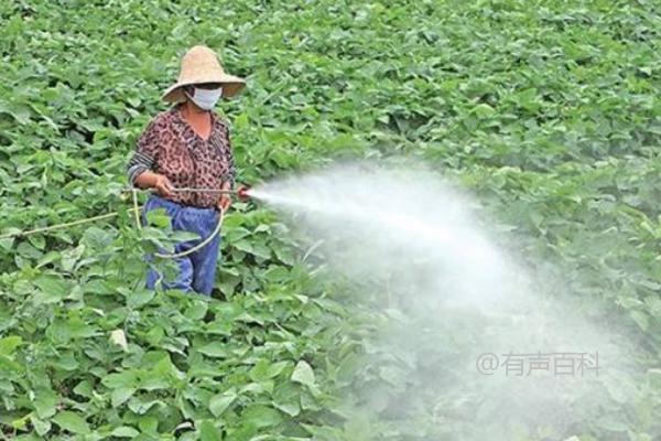 如何选择大豆除草剂品种，使用性需优先考虑