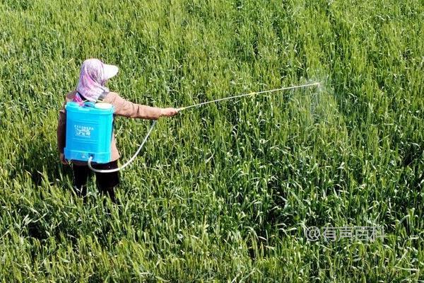 辛阿维乳油的使用方法及低龄幼虫盛发期的水溶液喷洒