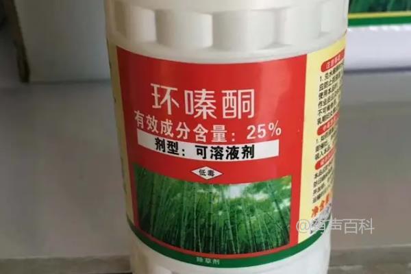 环嗪酮使用后需等多久才能进行植物种植