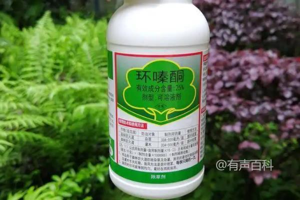 环嗪酮使用后需等多久才能进行植物种植