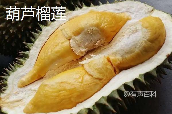 榴莲品种十大口感最佳排名