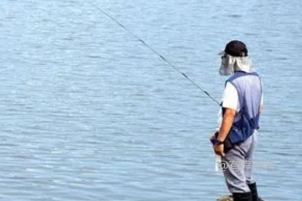 夏日钓鱼技巧：适宜温度不高于30℃时选择浅水或深水钓鱼