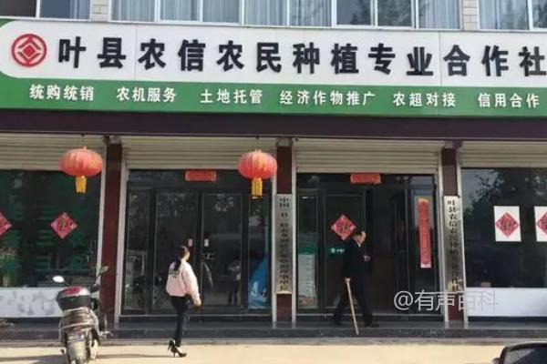 合作社经营范围分类及不同类型下的经营范围