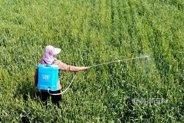 使用微生物农药的注意事项及避免高温强光天气下使用