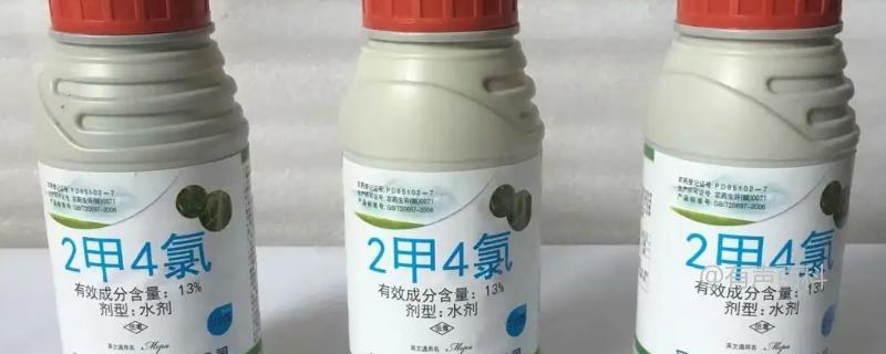 水稻孕穗期一般指水稻开花到结实之间的阶段，