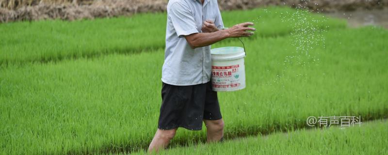 肥料和土壤酸碱性对植物生长的影响：酸碱度对