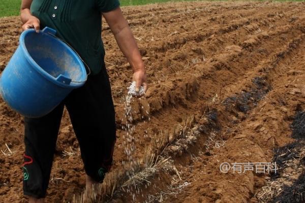 肥料和土壤酸碱性对植物生长的影响：酸碱度对微生物活性的影响