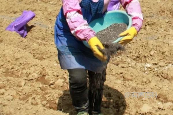 肥料和土壤酸碱性对植物生长的影响：酸碱度对微生物活性的影响