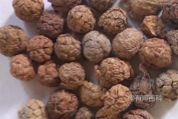 草豆蔻冬季是否会受冻？一般不会，但需要做好保暖措施