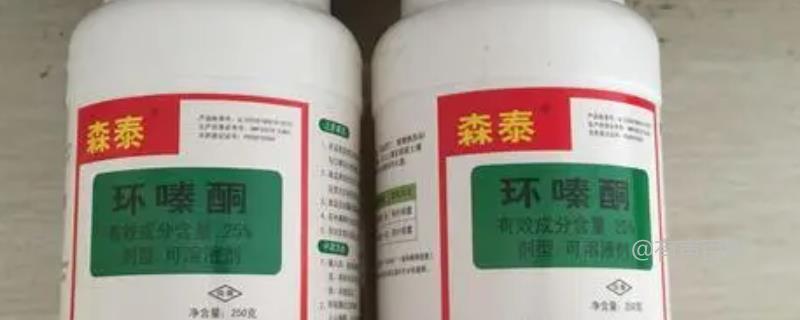 环嗪酮杀大树的使用方法及适用范围