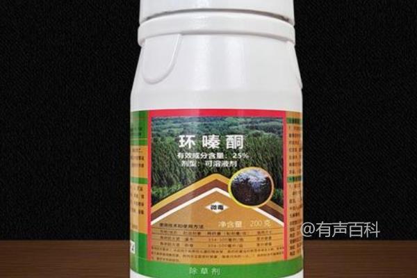 环嗪酮杀大树的使用方法及适用范围