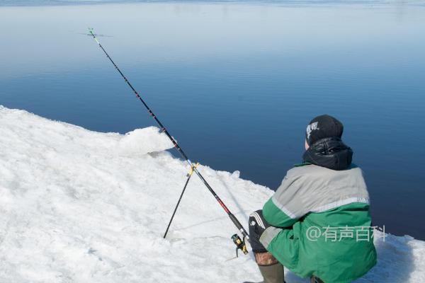 冰钓技巧：冬季凿洞抛竿，轻松享受冰上钓鱼乐趣