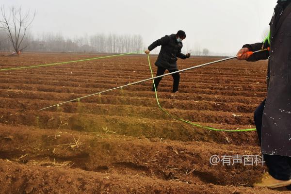 这是原标题："封闭除草剂会不会影响幼苗"

根据百度SEO规范，建议调整标题为："封闭除草剂会对幼苗产生哪些影响？"