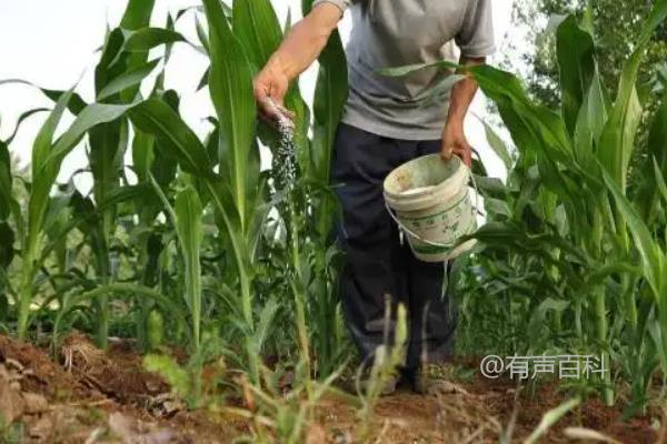 种地时如何确定氮肥的施用量