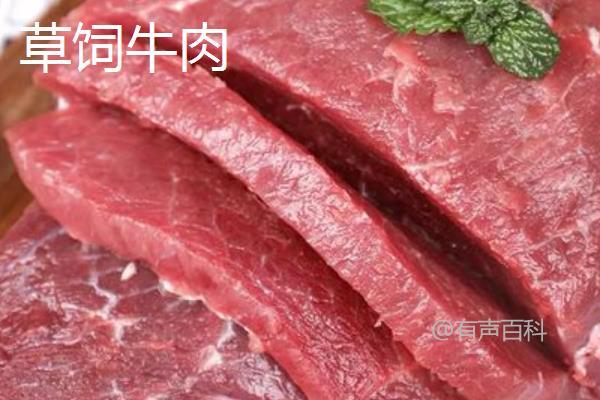 草饲牛肉与谷饲牛肉：哪种更好？