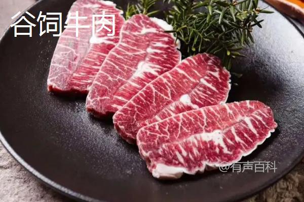 草饲牛肉与谷饲牛肉：哪种更好？