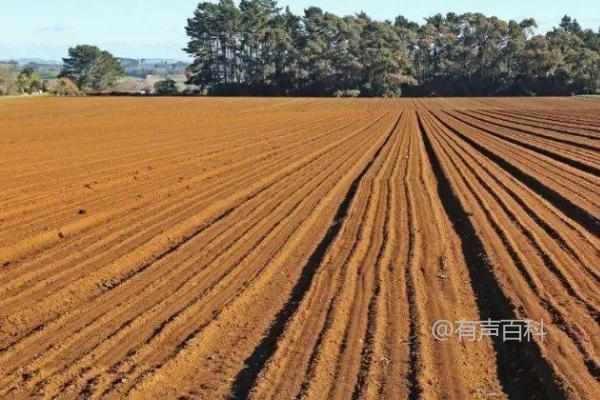 大豆种植时间及地区分析