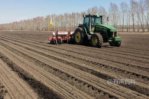 大豆种植时间及地区分析