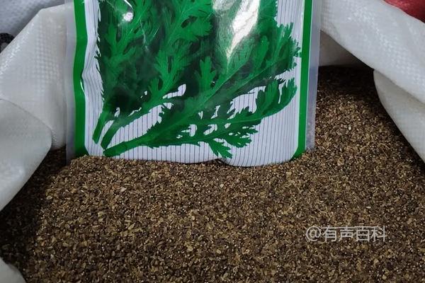 种植茼蒿的成本及市场前景分析