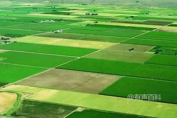 耕地与永久基本农田的区别