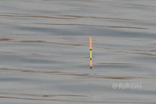 野钓鲫鱼的最佳饵料选择：蚯蚓、红虫、玉米等