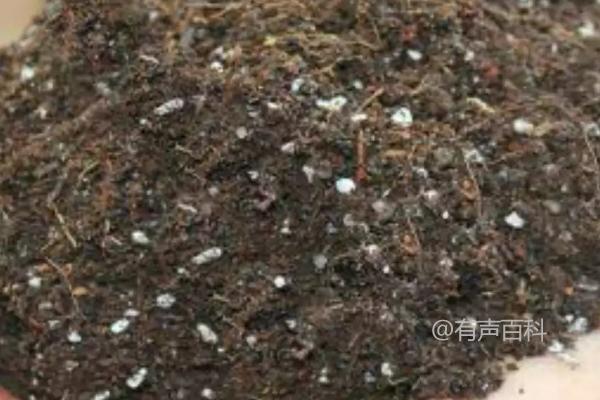 草莓基质栽培配方推荐：常用的两种配方解析